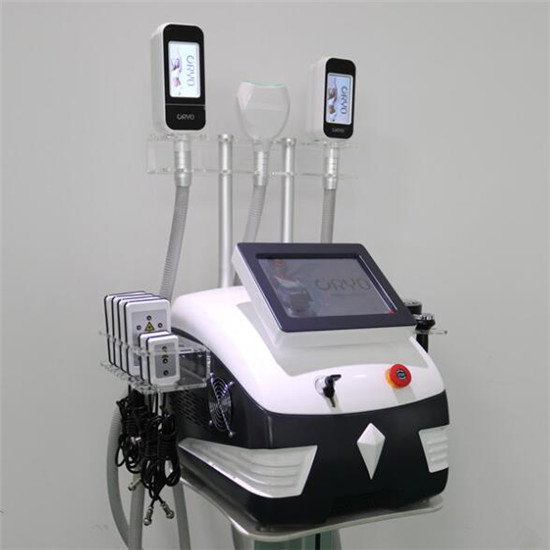 Portable 360 degree cryolipolysis fat freezing beauty machine AML-1404
