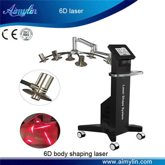 6D laser body shape system 