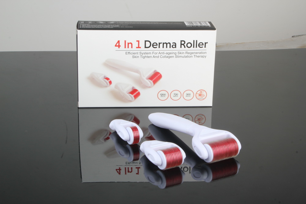 4 in 1 derma roller DR02